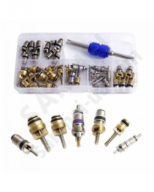 Набор заправочных ниппелей 40 шт/золотников с ключом для выкрутки
