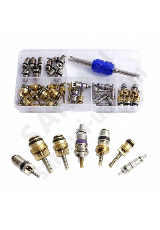Набор заправочных ниппелей 40 шт/золотников с ключом для выкрутки