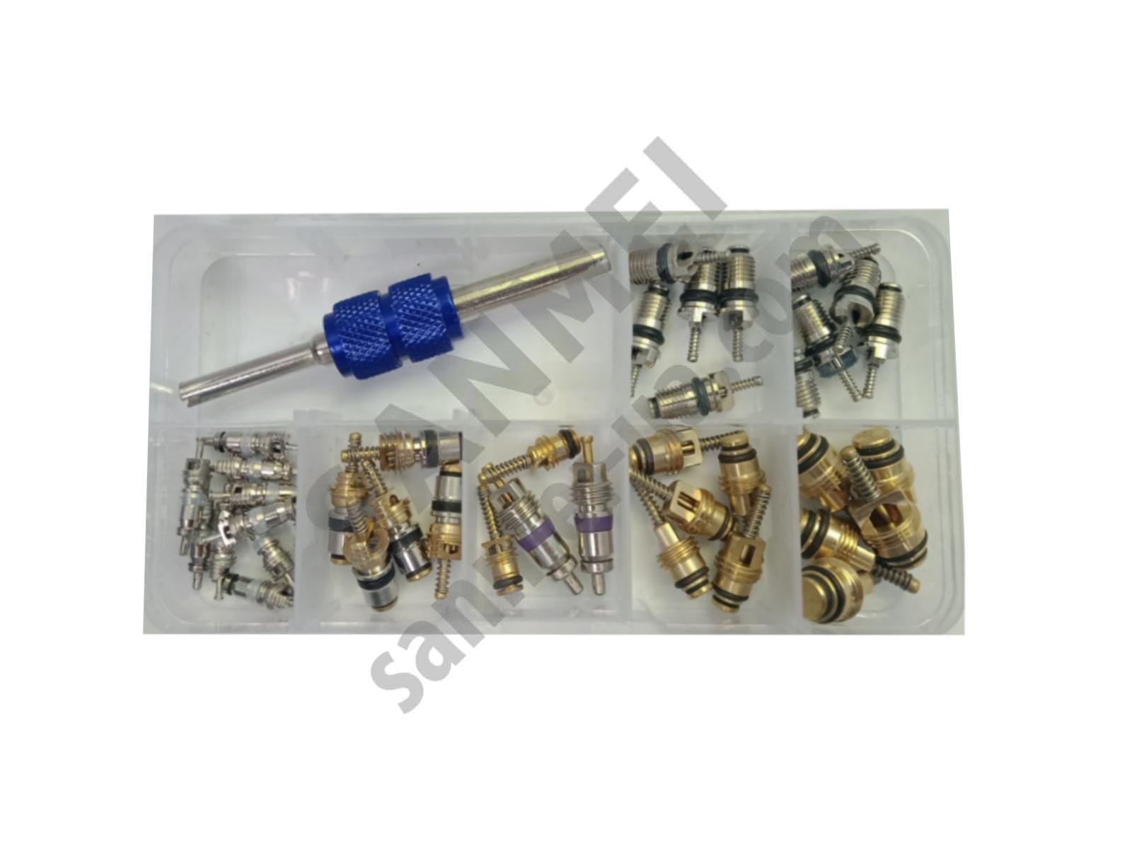 Набор заправочных ниппелей 40 шт/золотников с ключом для выкрутки