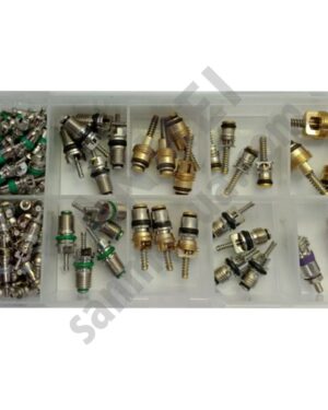 Набір заправних ніпелів / золотників, 100шт