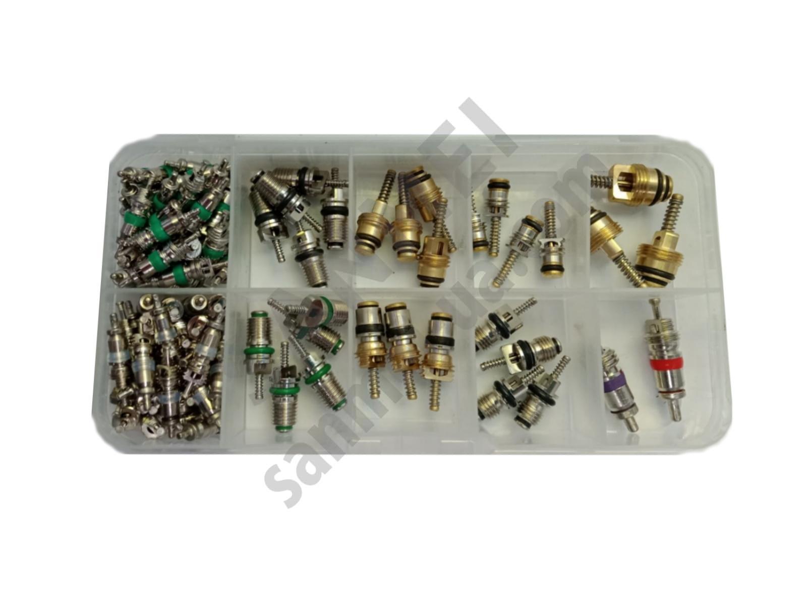 Набір заправних ніпелів / золотників, 100шт